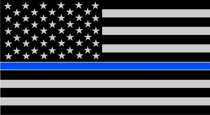 Image result for blue line flag