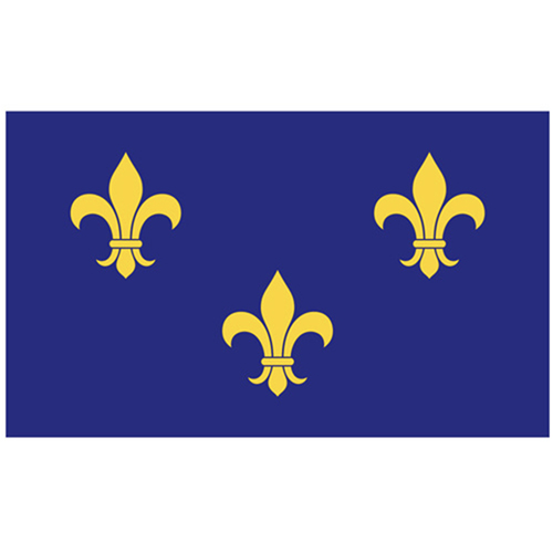French Fleur-de-Lis Flag